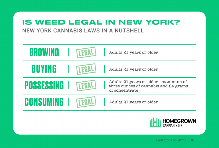 Cannabis Legalization and New York State - 2 Years Later