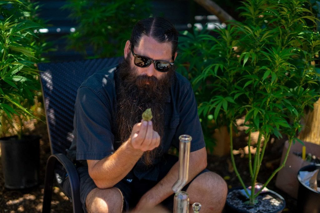 Parker Curtis admiring a cannabis bud